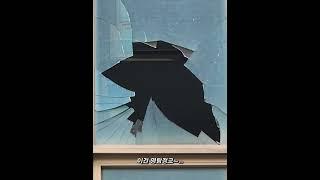 폐교 전 아름다운 캠퍼스를 갖췄던 한중대학교, 폐교 후 5년 뒤 현재모습 #한중대학교 #폐교