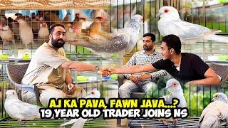 Aj Ka Pava, Fawn Java...? 19 Year Old Trader Joins NS