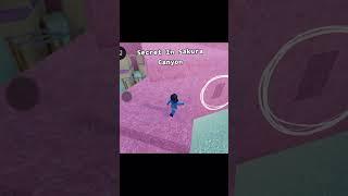 Secret in sakura canyon!