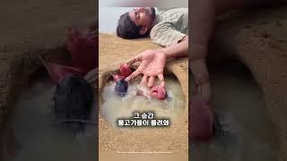 소년은 낚시를 하다가 잠들었어요