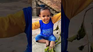 Baby saying papa /#babyvlogs #cute/cut baby short video new/#naughtysuryansh @Suryanshyadav91