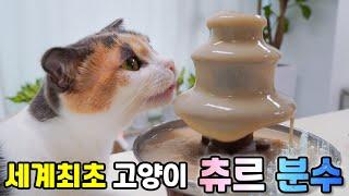 The World First Cat-treat Fountain (ENG SUB)