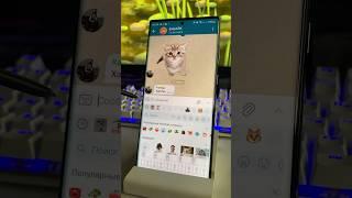 В Telegram МОЖНО делать свои стикеры 