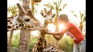 Oasis Wildlife Park Fuerteventura