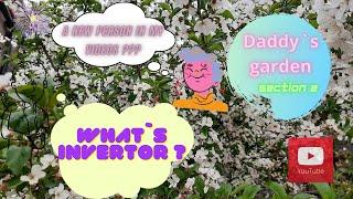 Daddy`s garden: section 2