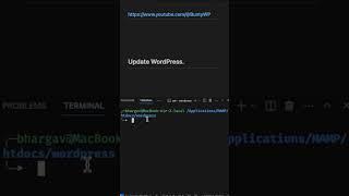 UPDATE WordPress via WP-CLI to Latest Version | WP6.5 | #wordpress #buntywp #wpcli