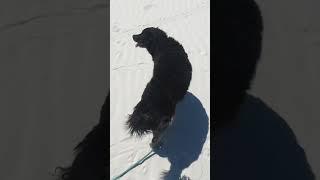 White Sands