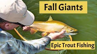 Fall Giants - Epic Trout Fishing