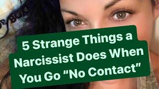 5 Strange Things a Narcissist Does When You Go “No Contact” | #narcissists