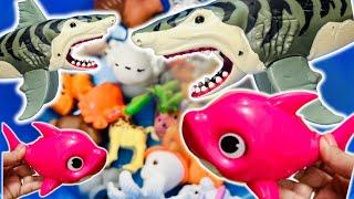 Learn Animal Names, Animal toys, Animals for kids, Sea Animals, Zoo, Farm, wild, aquatic Animals