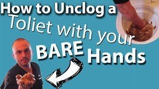 Unclog a Toilet With Your Bare Hands - DISGUSTING!!!