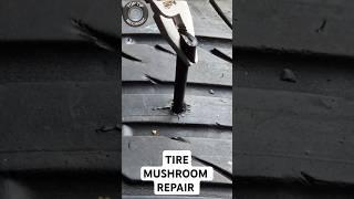 How a Tire Mushroom Plug Repair Works #tirerepair #mushroomplug #tireplug #howitworks