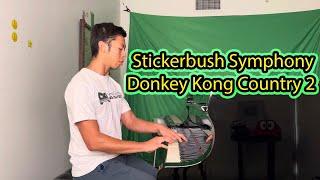 Stickerbush Symphony - Donkey Kong Country 2 Performed by Video Game Pianist