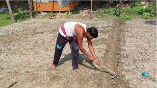 Bangladeshi Simple Vilage life | Our Simple Village Life | Village Cooking | Small Village Vlog