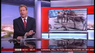 BBC News coverage of the donkey skin trade