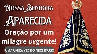 Ao vivo - NOSSA SENHORA APARECIDA - 12 DE OUTUBRO - Oração por um milagre na sua vida.