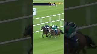 High drama at the Curragh!  #horsesports #hkracing #horseracing  #horse #horseraces #racing