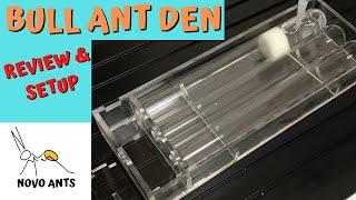 Bull Ants Den - Review & Setup - Novo Ants - Ant Keeping