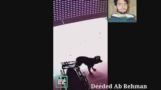 Top funniest video||Must watch funny  viral video||Deeded Ab Rehman