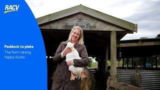 Paddock to Plate: free-range duck farming on Victoria’s coast | Great Ocean Ducks