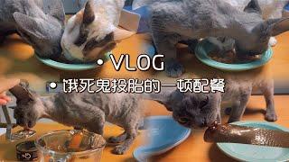 配餐VLOG | 这罐头太好吃了!导致我都被骂了