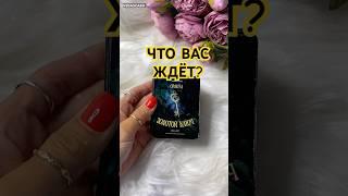  ЧТО ВАС ЖДЁТ Гадание на картах  #гадание #гаданиеонлайн