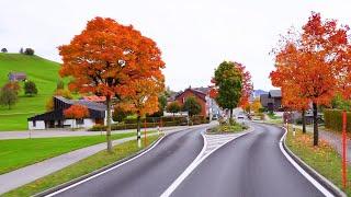  Golden Autumn in Appenzell Switzerland   Autumn Vibes in the Swiss Countryside | #swiss