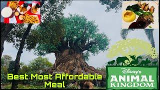 Disney’s Animal Kingdom Best Most Affordable Meal!