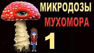 1. Мухомор. Дозировка Микродоз. Оптимальные Параметры - Вес, Частота и Длительность приема. б Маша