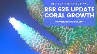 Red Sea Reefer 625 XXL Update - Continuous Coral Growth