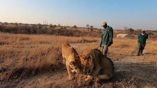 Gweru Antelope Park