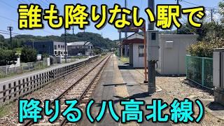 【閑散駅探索】八高北線の誰も降りない駅で強制下車！下車0人駅には何がある？