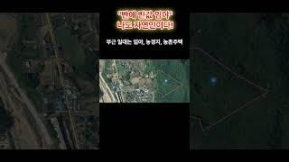나도 자연인땅 ~ 반에 반값에 나온 임야!  #착한부동산