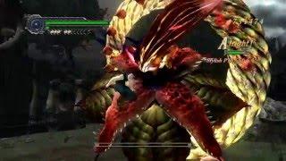 Echidna DMD no concentration