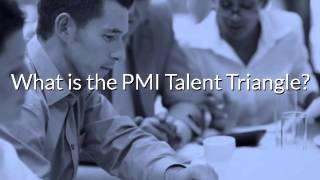 Procept - Understanding the PMI Talent Triangle