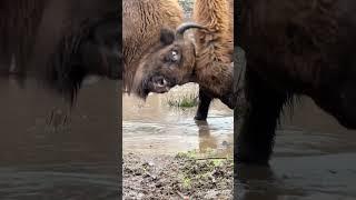 I BOOKED THIS PUDDLE! 