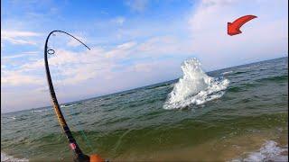 2 Hours of Catching Giant Fish on the Beach!