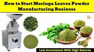 Starting a Profitable Moringa Leaves Powder Manufacturing Business - How to