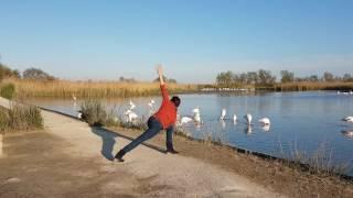 Vinyasa round avec les flamants roses