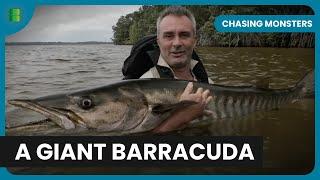 Canoe vs. Crocodiles - Chasing Monsters - S05 EP503 - Fishing Show