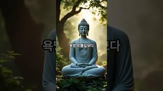 부처님 지혜의 말씀(8), -탐욕- #석가모니 #불경 #부처