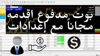 تداول الفوركس والعملات الرقمية بوت مدفوع اقدمه مجاناً  مع إعدادات مميزة