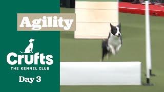 International Invitation – Large (Agility) - Part Two | ​Crufts 2025