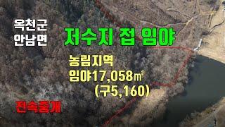 작은 저수지에 접한 임야로 임업이나 자연인 하실분.매물219번(전속중개)