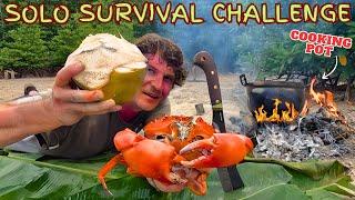 SOLO SURVIVAL CHALLENGE - Hunting Wild Food on a Tropical Island - No Food - Catch and Cook