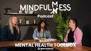 MINDFULMESS PODCAST EP 1: Mental Health Toolbox - What tools can we use to assist our mental health?