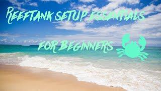 Reeftank setup essentials for beginners #saltwater #reeftank #beginners