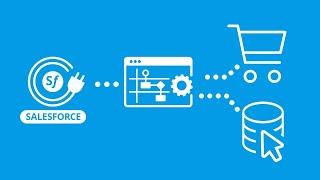 Salesforce Connector Tool Overview: BPA Platform