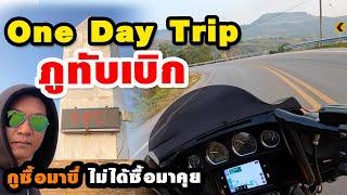 One Day Trip ภูทับเบิก คนเดียว ลำเดียว 1,000km