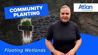 Planting a Floating Wetlands | Community Event at Burnum Burnum Sanctuary